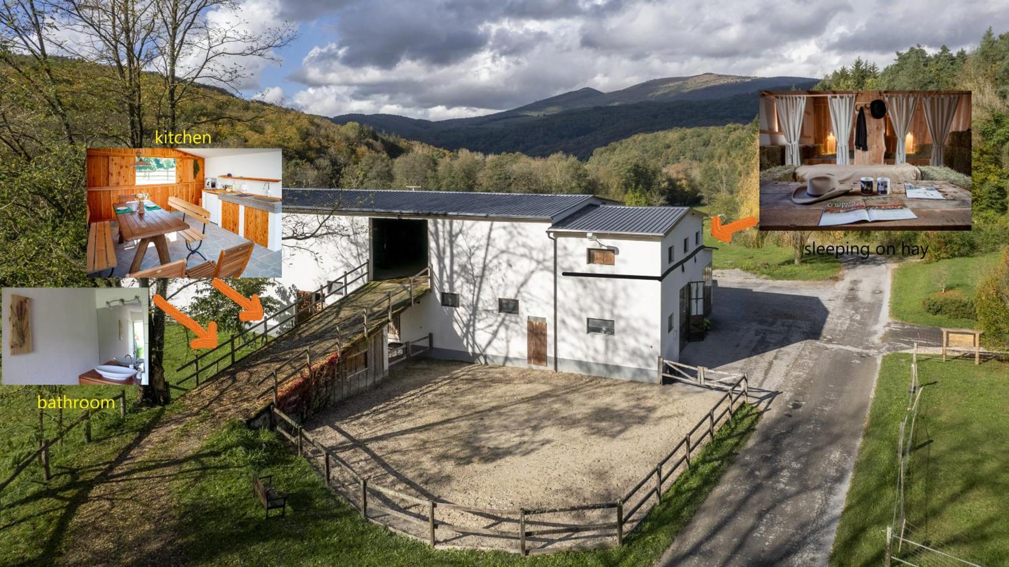 Suhorje Farm Volk 빌라 외부 사진